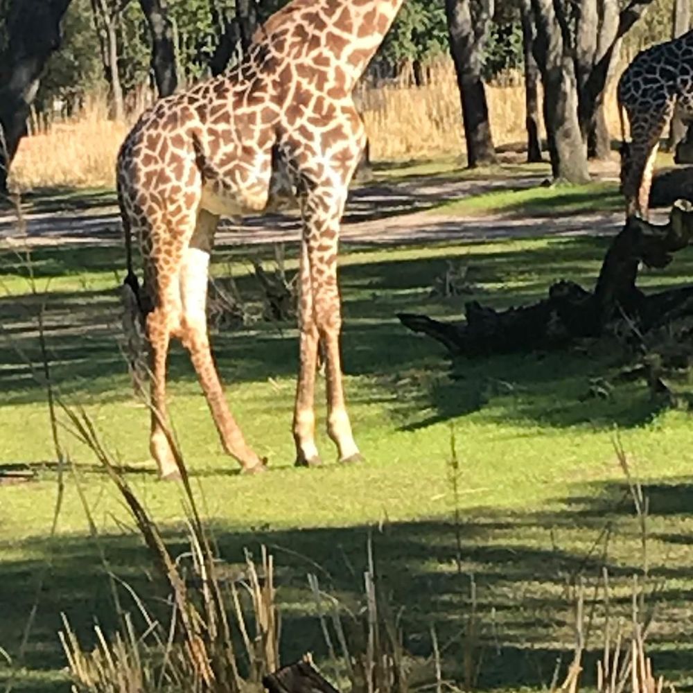 Meet your Posher, Leonarda